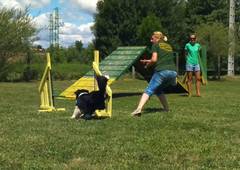 Agility hziverseny s szeminrum