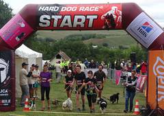 Hard Dog Race csapat sikere